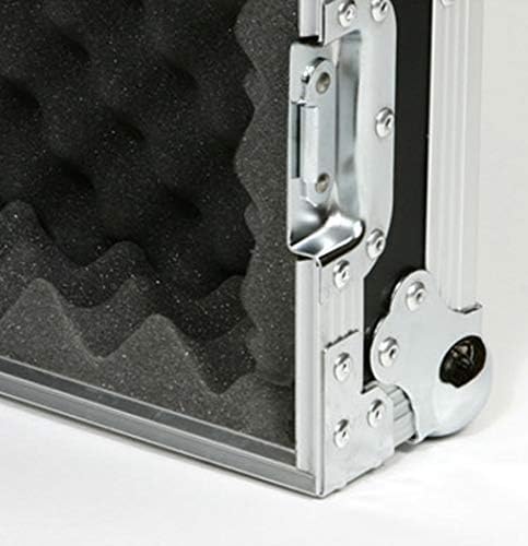 10 Space (10U) ATA Rack Effects Road Shock Mount Case (12' Deep)