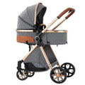 2 in 1 Baby Stroller,Infant Stroller Convertible,High Landscape Baby Carriage,Foldable Pushchair with Adjustable Canopy(Grey)