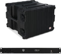 Gator G-PRO-8U-19 Pro Series Rack Case with 19' Depth, Front & Rear Rack Rails, and Rackmount Power Conditioner - Durable Protection for Audio Gear