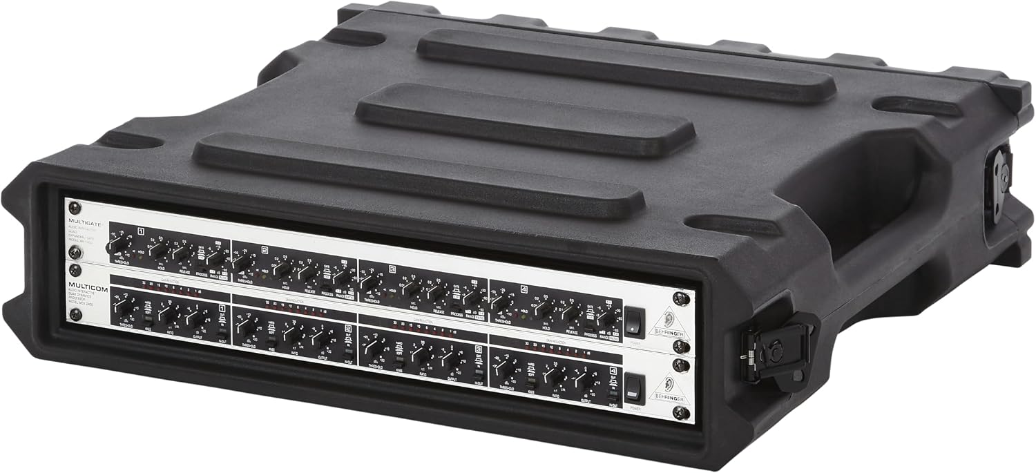 Gator Cases Pro Series 2U Rack Case with Standard 19' Depth, Roto Molded Made in USA (G-PRO-2U-19)