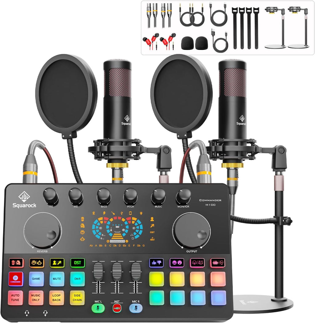 Podcast Equipment Bundle for 2 with Dual 48V XLR Condenser Micophones with Mic Pop Filters Audio Equipment for Live Streaming/Recording, Online Gaming for Phone/Laptop/PC Audio Interface M100