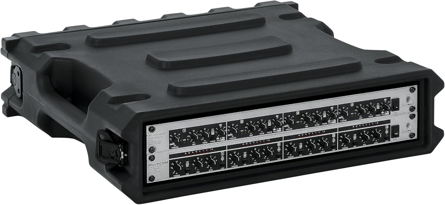 Gator Cases Pro Series 2U Rack Case with Standard 19' Depth, Roto Molded Made in USA (G-PRO-2U-19)