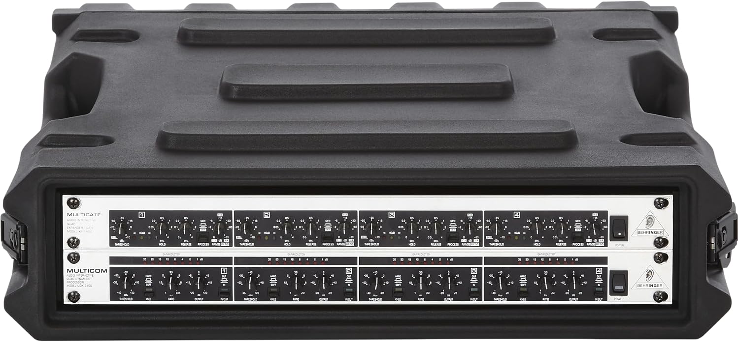 Gator Cases Pro Series 2U Rack Case with Standard 19' Depth, Roto Molded Made in USA (G-PRO-2U-19)