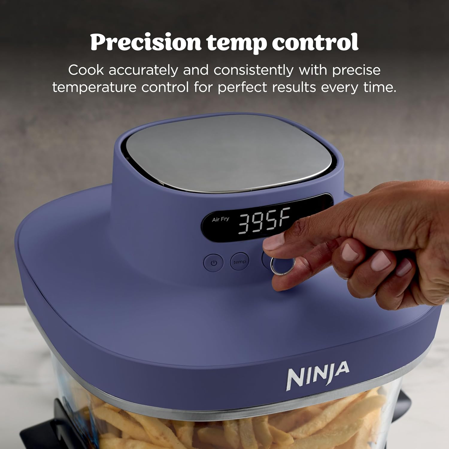 Ninja Crispi Pro 6-in-1 Glass Air Fryer | 450°F, Nontoxic, 6qt & 2.5qt Containers & Lids | Microwave, Freezer, Dishwasher Safe | Max Crisp, Air Fry, Bake, Roast, Recrisp, Dehydrate |Amethyst, AS101PU1