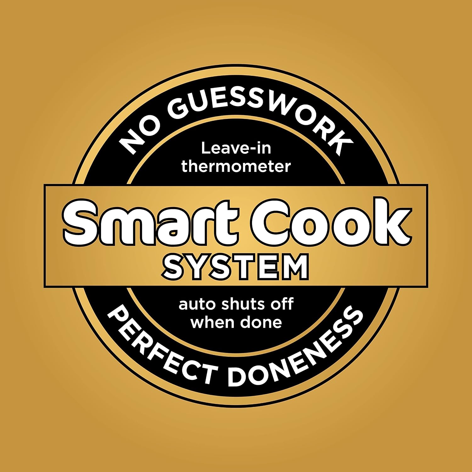 Ninja DZ550 Foodi 10 QT 6-in-1 DualZone Smart XL Air Fryer with 2 Independent Baskets, Smart Cook Thermometer for Perfect Doneness, Match Cook & Smart Finish to Roast, Dehydrate & More, Grey