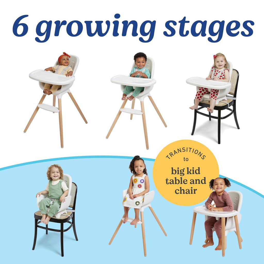 Graco® Table2Table Lux Highchair, 6 Growing Stages from Infant High Chair to Big Kid Chair and Table, Rhodes