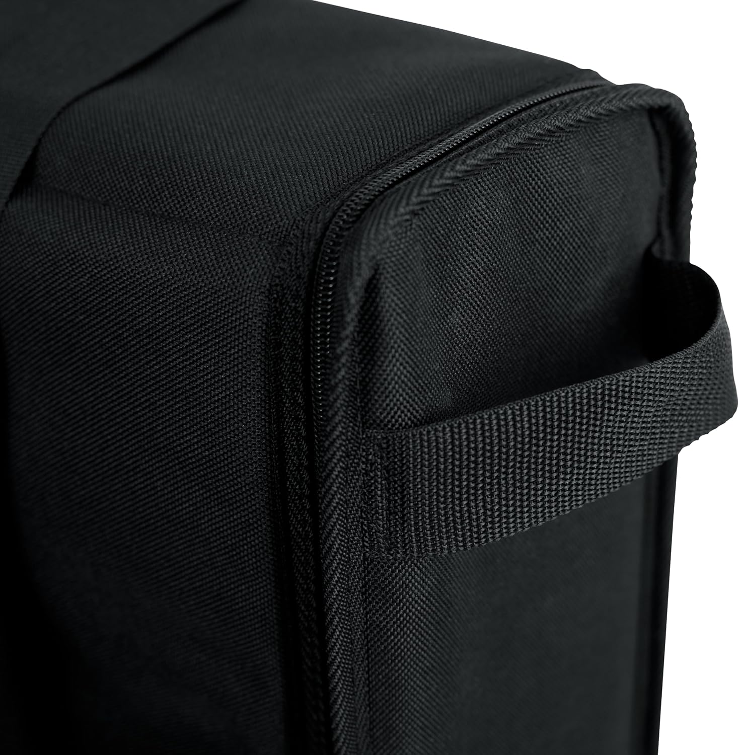 Gator Cases Padded Nylon Carry Tote Bag for Transporting LCD Screens, Monitors and TVs Between 19' - 24' (G-LCD-TOTE-SM)