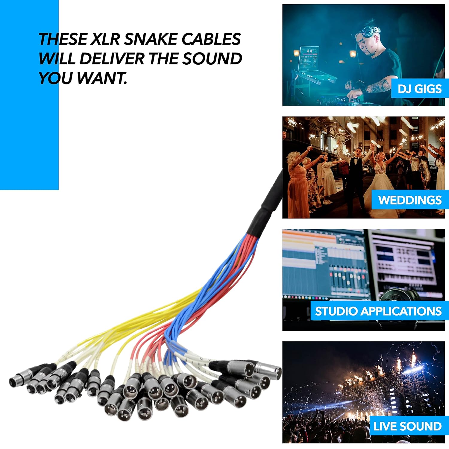 Seismic Audio SACB-24x8x100 24-Channel XLR Low Profile Circuit Board 100-Feet Snake Cable