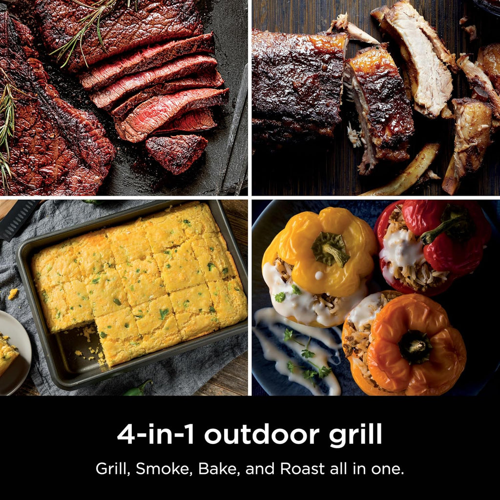 Ninja Woodfire Outdoor Grill & Smoker, 4-in-1 Functionality, Grill, Smoke, Bake, Roast, Authentic Woodfire Flavors, Electric Heat, OG301