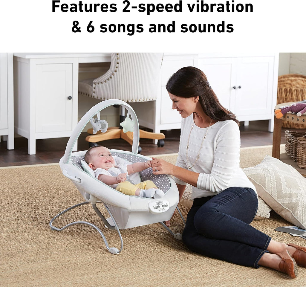 Graco Soothe 'n Sway LX Portable Baby Swing and Baby Bouncer Bouncer, Multi Direction Seat, 2 Speed Vibration, Derby