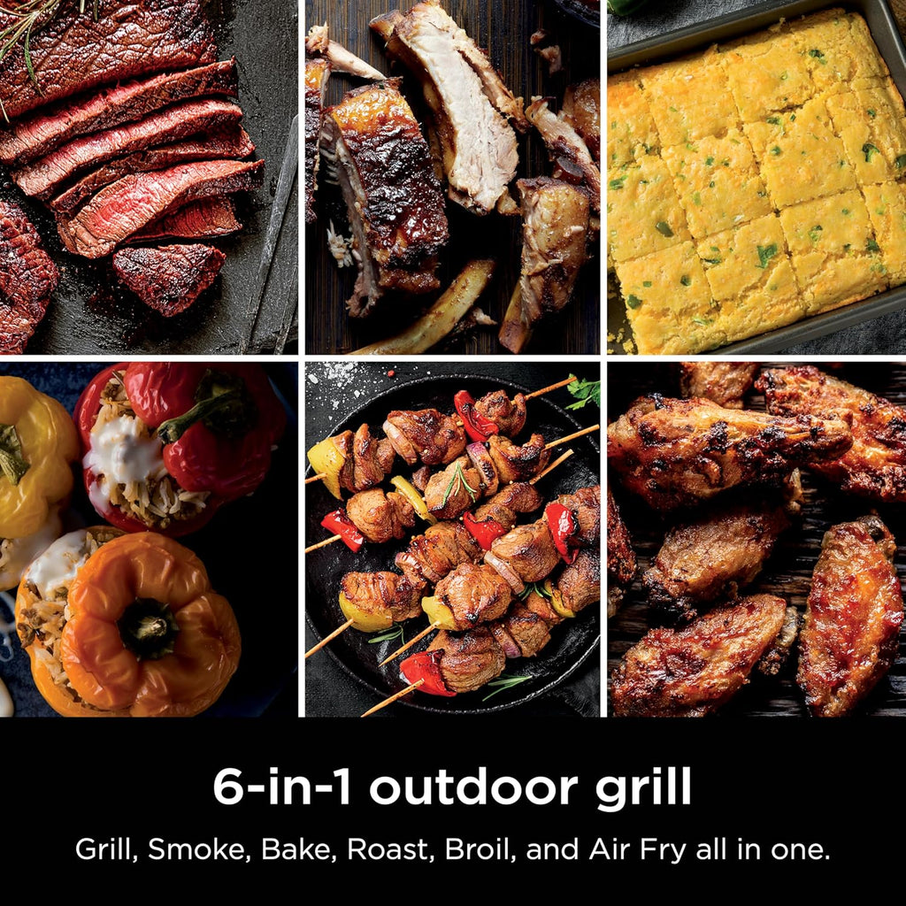 Ninja Woodfire Outdoor Grill & Smoker, 6-in-1 Functionality, Grill, Smoke, Bake, Roast, Air Fry, Broil, Authentic Woodfire Flavors, Electric Heat, OG321