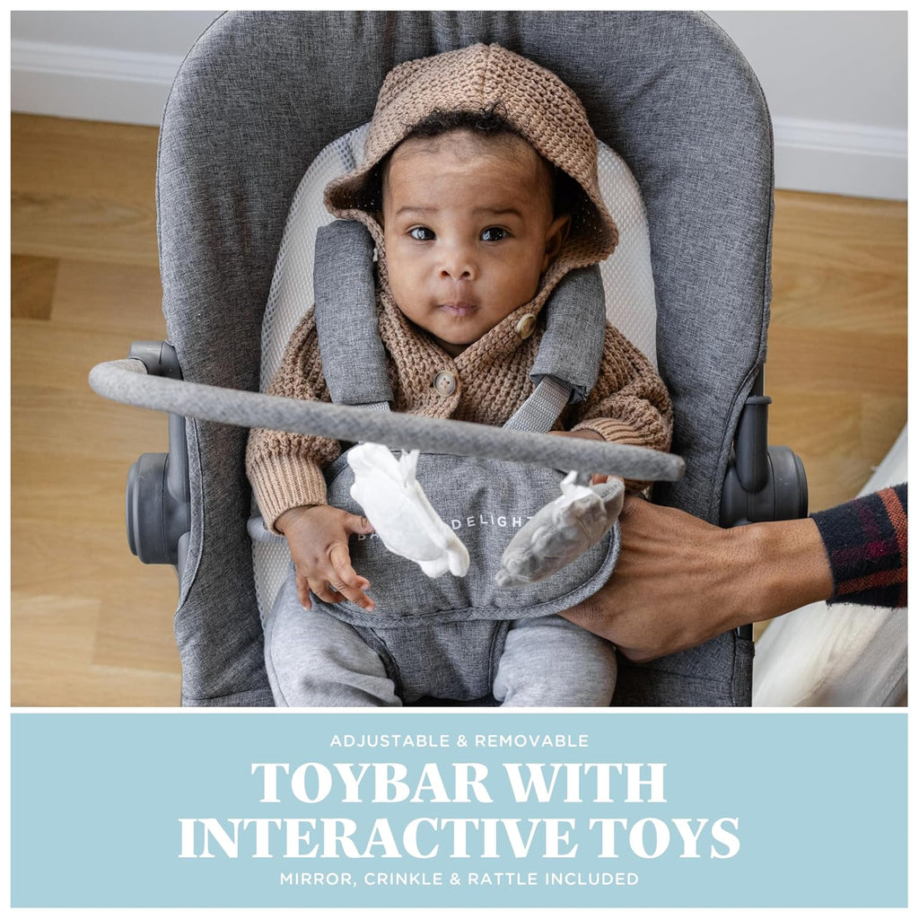 Baby Delight Bloom Baby Seat | Soothing and Adjustable Baby Chair | Portable and Compact | Charcoal Tweed